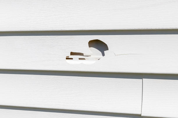 Best Stucco Siding  in Landing, NJ