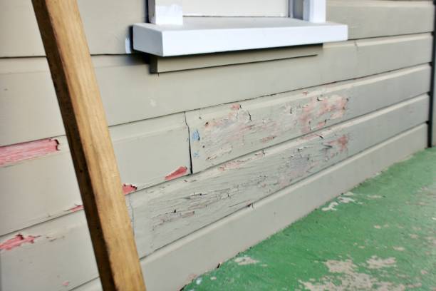 Best Custom Trim and Detailing for Siding  in Landing, NJ