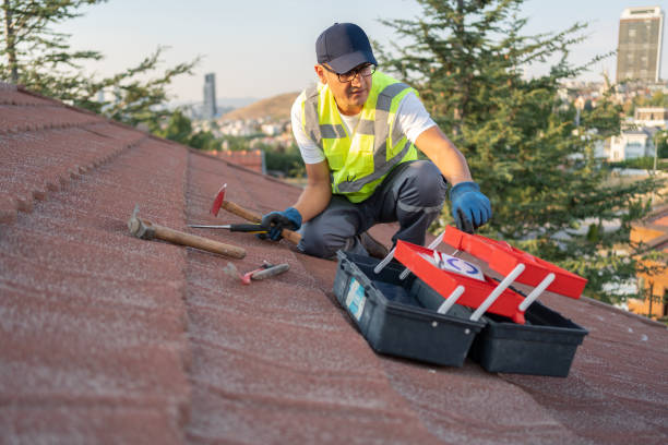 Best Fiber Cement Siding Installation  in Landing, NJ